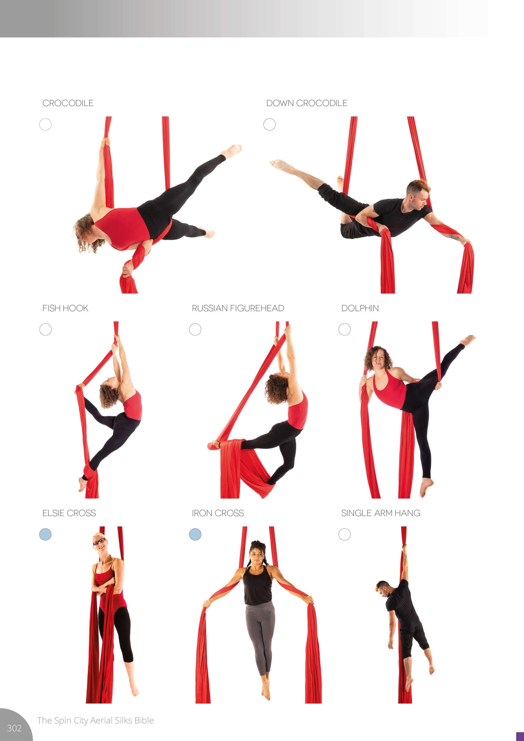 Silks Bible page using photos to demonstrate a variety of moves like crocodile, fish hook, iron cross, and single arm hang