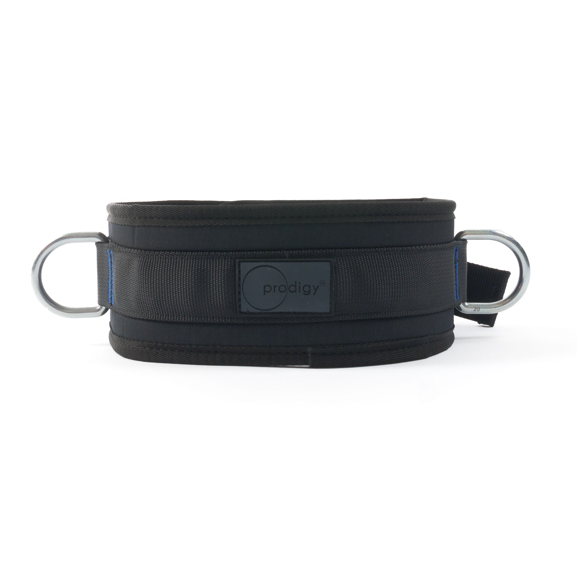 front of lunge belt